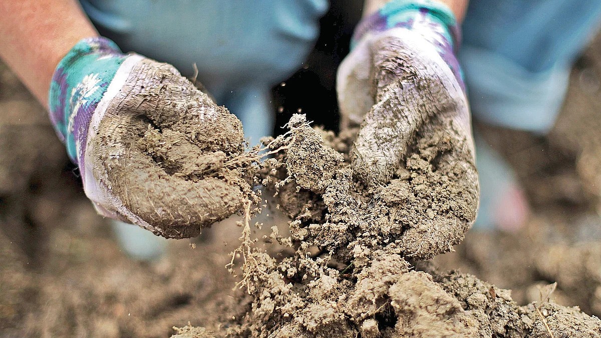 تصویر سوشل میڈیا