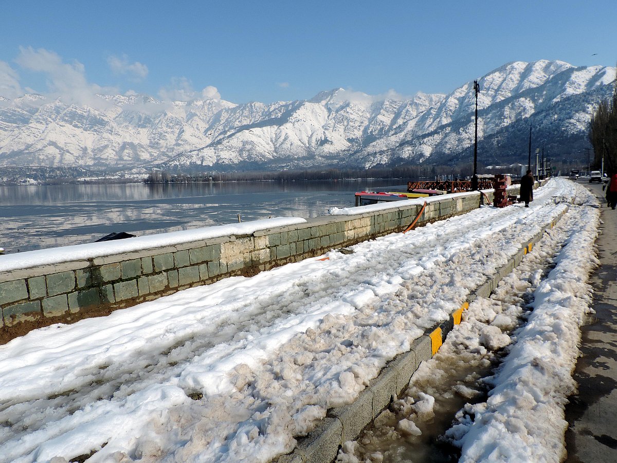 وادی کشمیر میں برف کا قہر، 11 افراد اور درجنوں مویشی ہلاک، کئی ریاشی مکان تباہ
