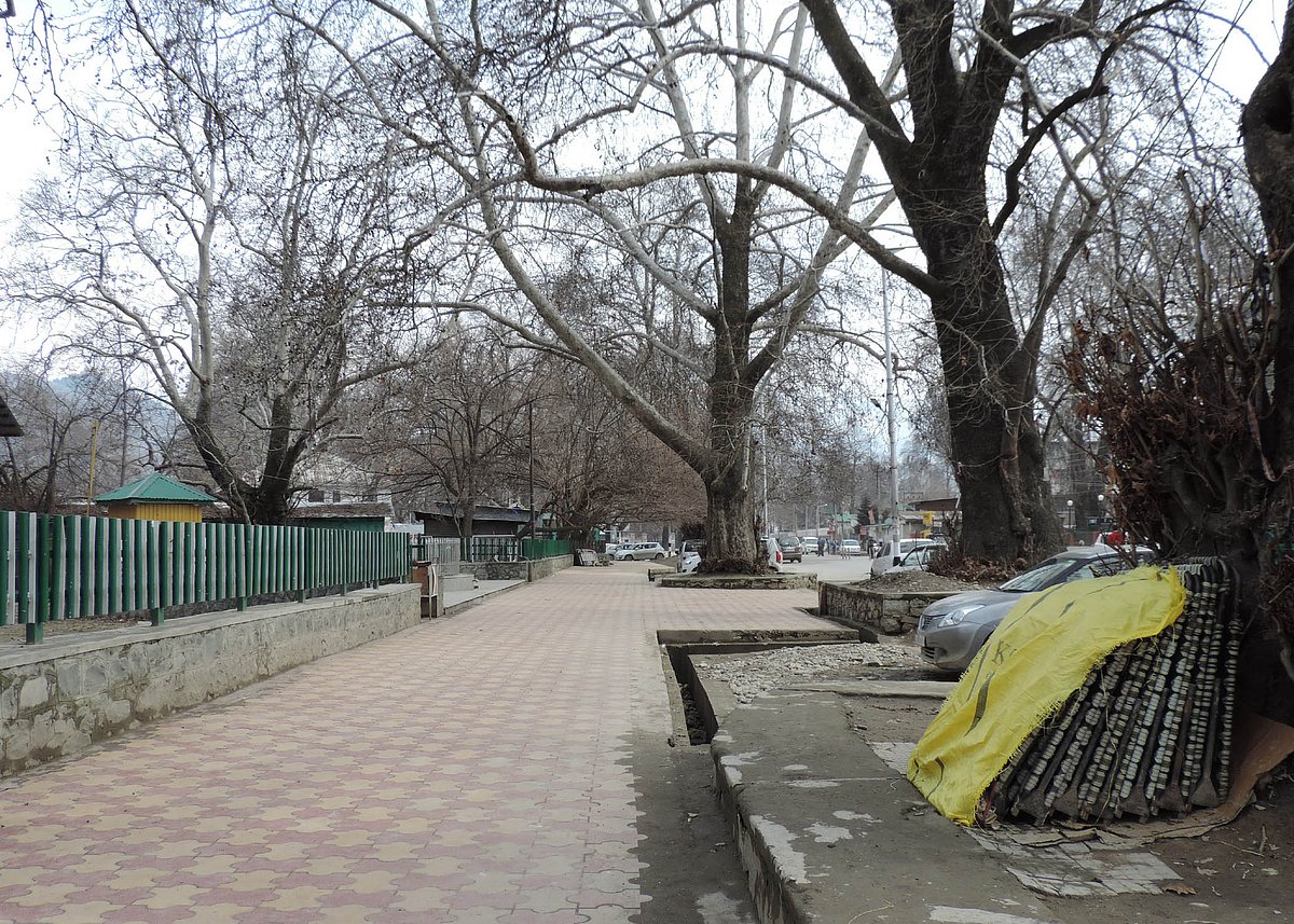 کشمیر: گرفتاریاں اور دفعہ ’35 اے‘ کے خلاف مبینہ سازشیں، وادی میں مکمل ہڑتال