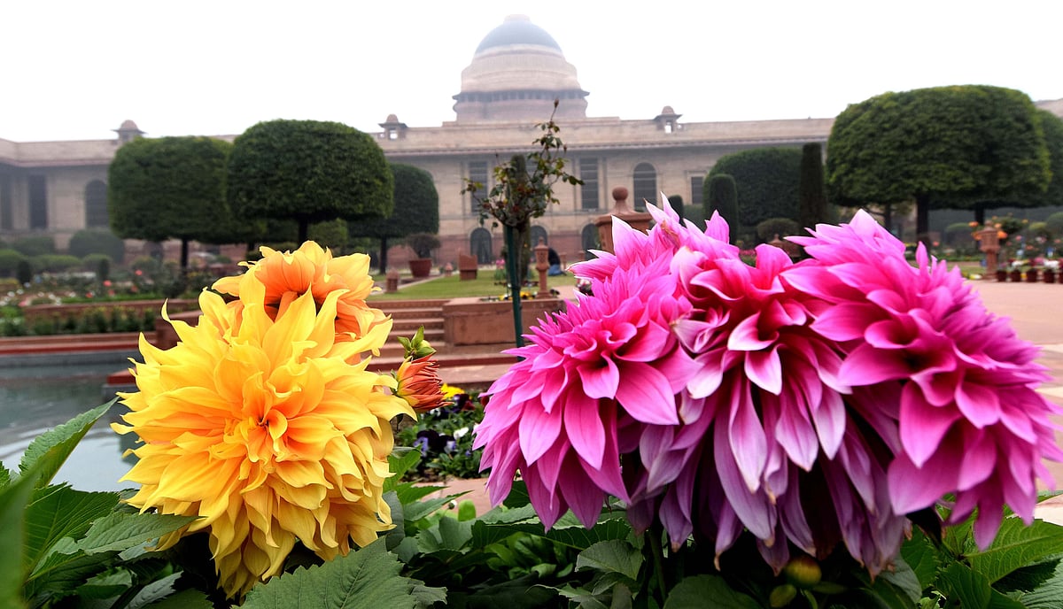 دہلی: 4 فروری سے کھلے گا ’راشٹرپتی بھون‘ میں واقع ’مغل گارڈن‘