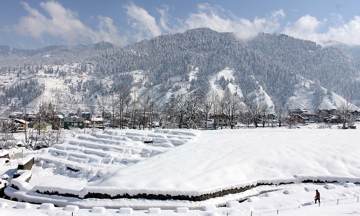 کشمیر: برفانی تودے کی وجہ سے زندہ دفن افراد میں سے آٹھویں فرد کی لاش بر آمد