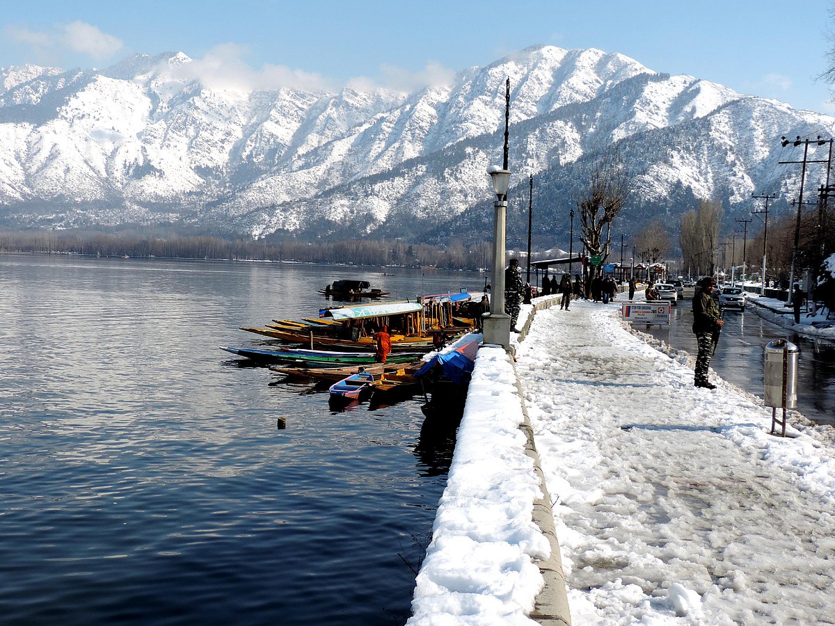 وادی کشمیر میں برف کا قہر، 11 افراد اور درجنوں مویشی ہلاک، کئی ریاشی مکان تباہ