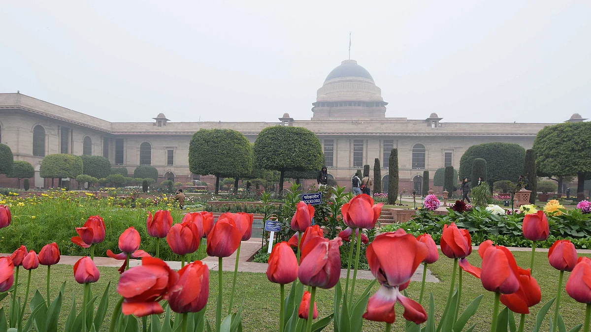 تصویر یو این آئی