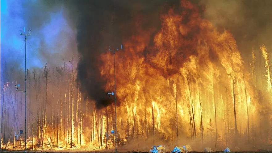 علامتی تصویر