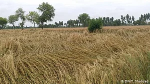 قرض کے جال میں پھنسا کسان، ایک لاکھ کا قرض ہو گیا 74 لاکھ، بیرون ملک جاکر کڈنی بیچنے پر مجبور