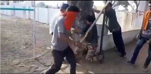 گئو رکشکوں کے ذریعہ خاتون سمیت 3 لوگوں کی موب لنچنگ، بھیڑ دیکھتی رہی تماشہ