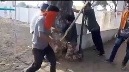 تصویر سوشل میڈیا