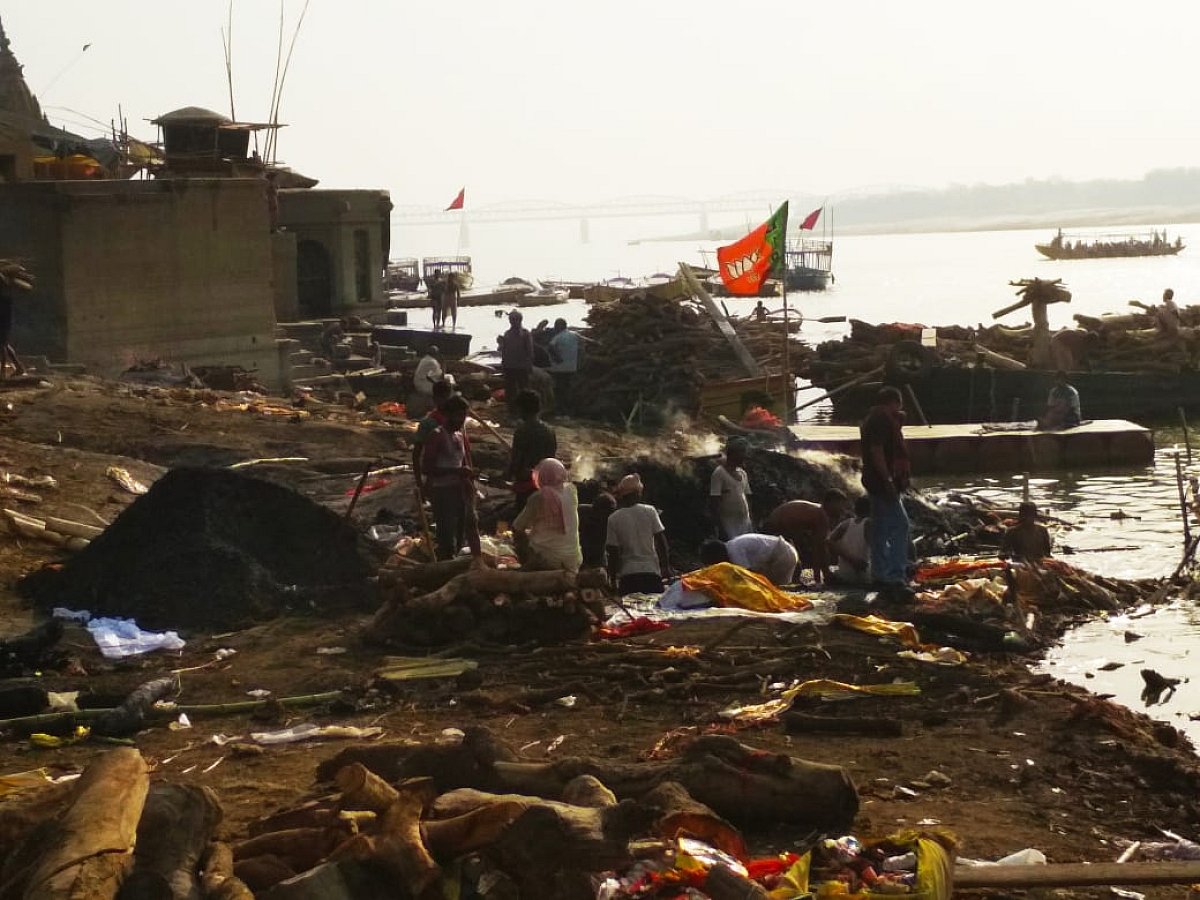 تصویر وشودیپک