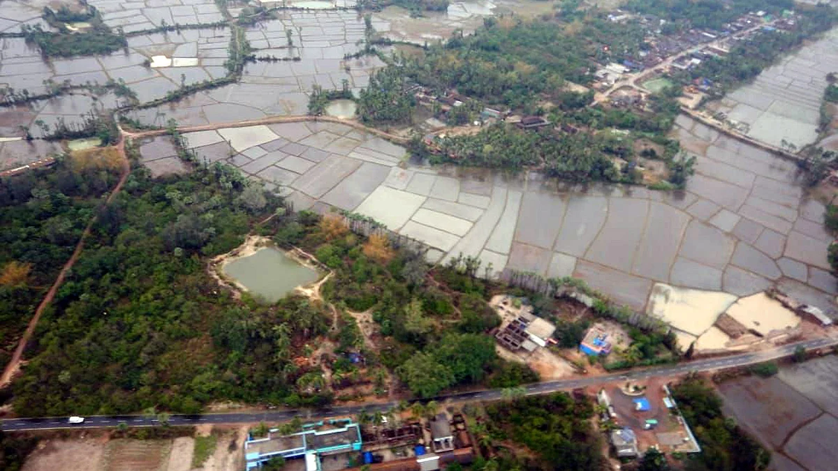 تصویر یو این آئی