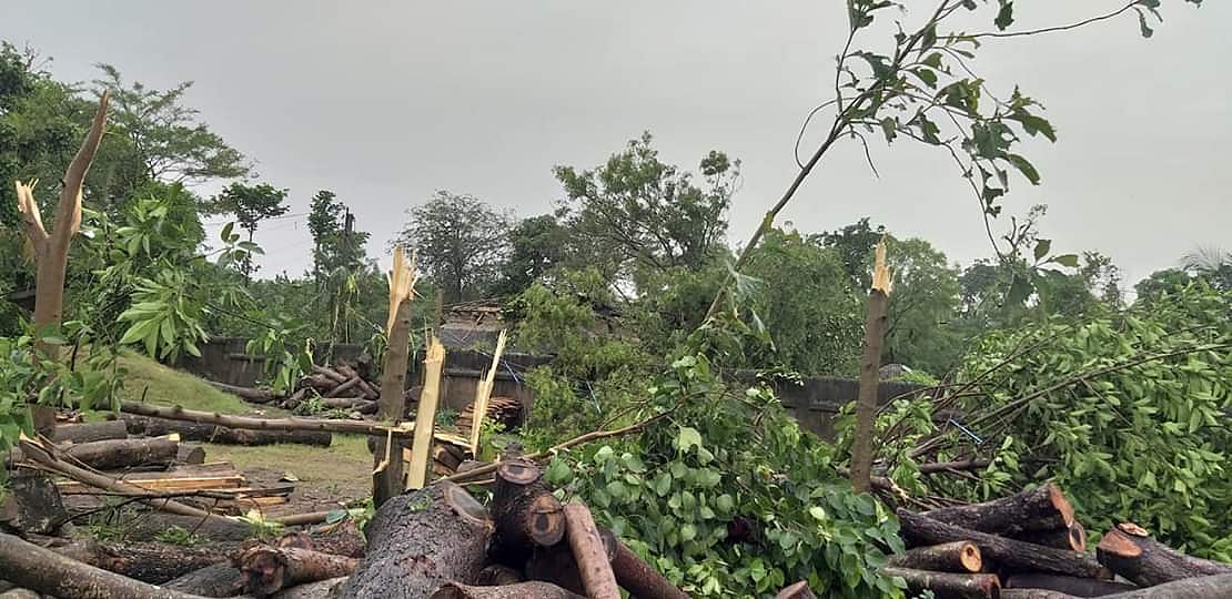 اڈیشہ میں 250 کلو میٹر فی گھنٹہ کی رفتار سے ’فانی‘ نے مچائی تباہی... تصویری جھلکیاں