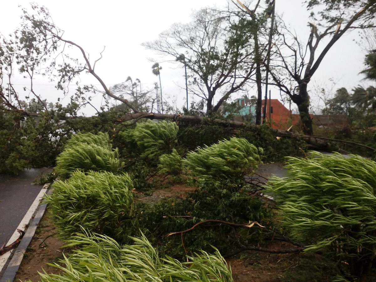 اڈیشہ میں 250 کلو میٹر فی گھنٹہ کی رفتار سے ’فانی‘ نے مچائی تباہی... تصویری جھلکیاں