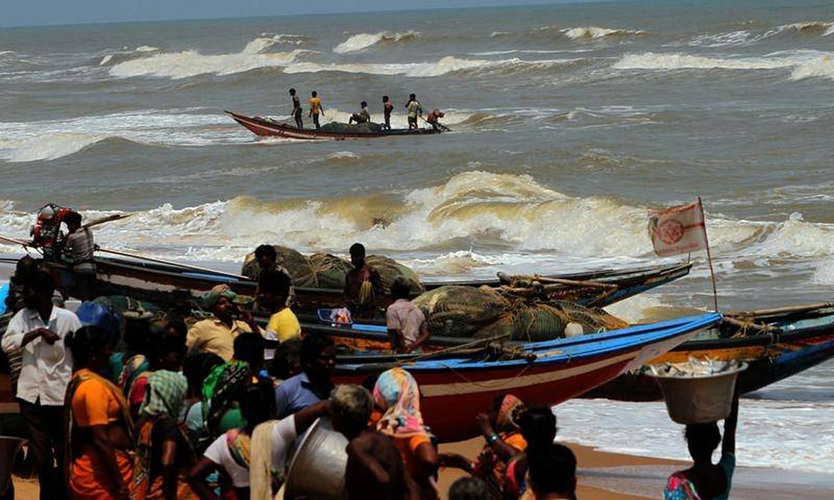 تصویر سوشل میڈیا