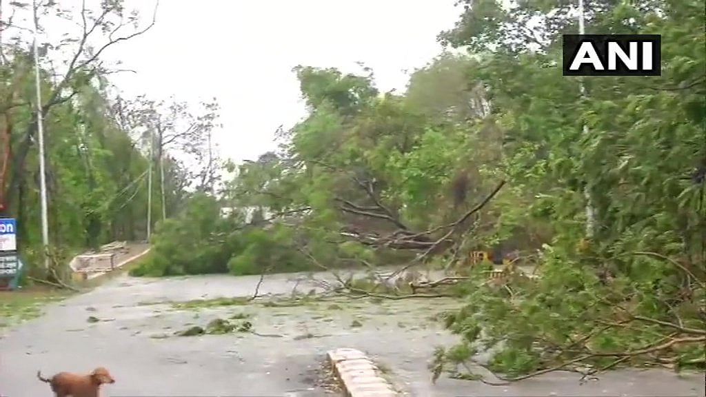 اڈیشہ میں 250 کلو میٹر فی گھنٹہ کی رفتار سے ’فانی‘ نے مچائی تباہی... تصویری جھلکیاں