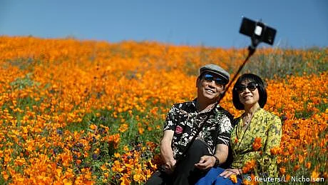 سیلفی شارک سے زیادہ خطرناک