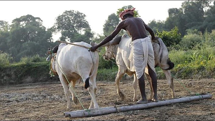 تصویر سوشل میڈیا