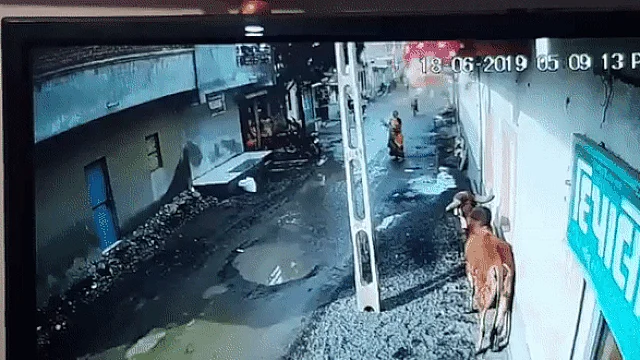 تصویر سوشل میڈیا