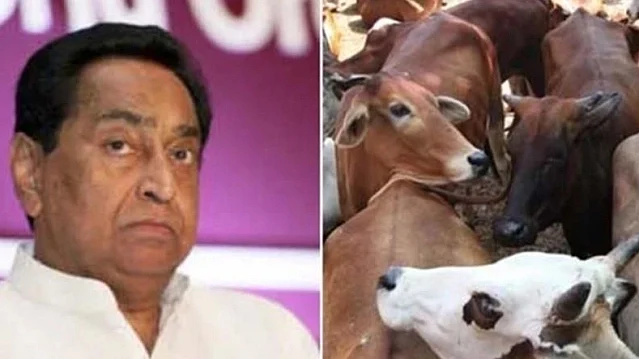 تصویر سوشل میڈیا