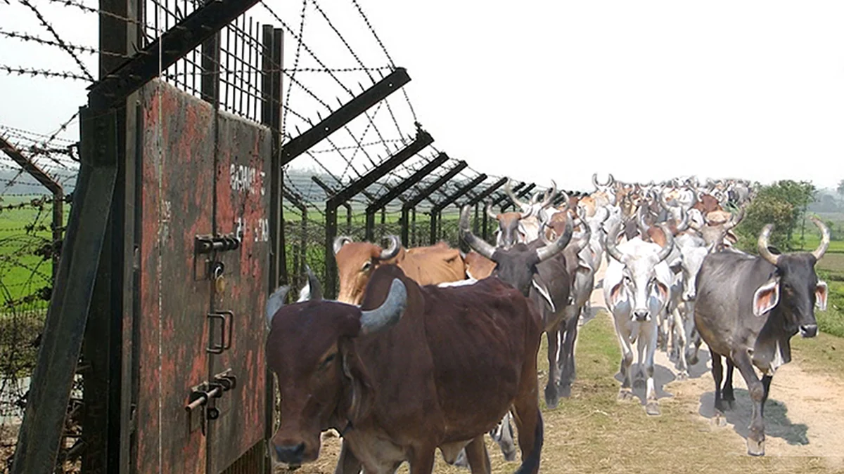 تصویر سوشل میڈیا