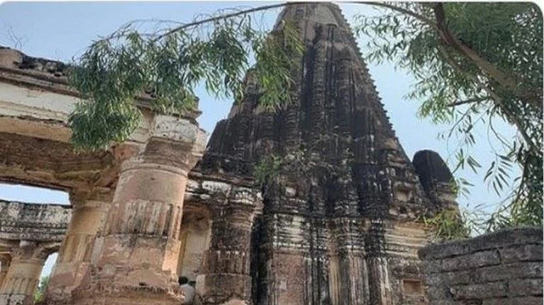 تصویر سوشل میڈیا