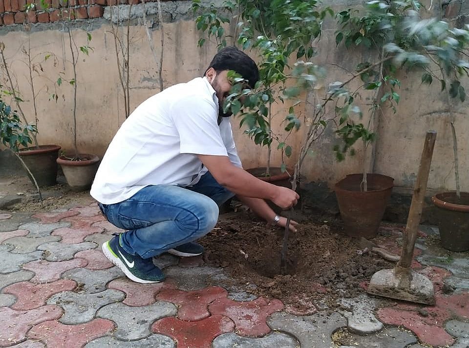 دہلی: اوکھلا میں شجرکاری مہم کی شروعات، 15 اگست تک چلے گا سلسلہ