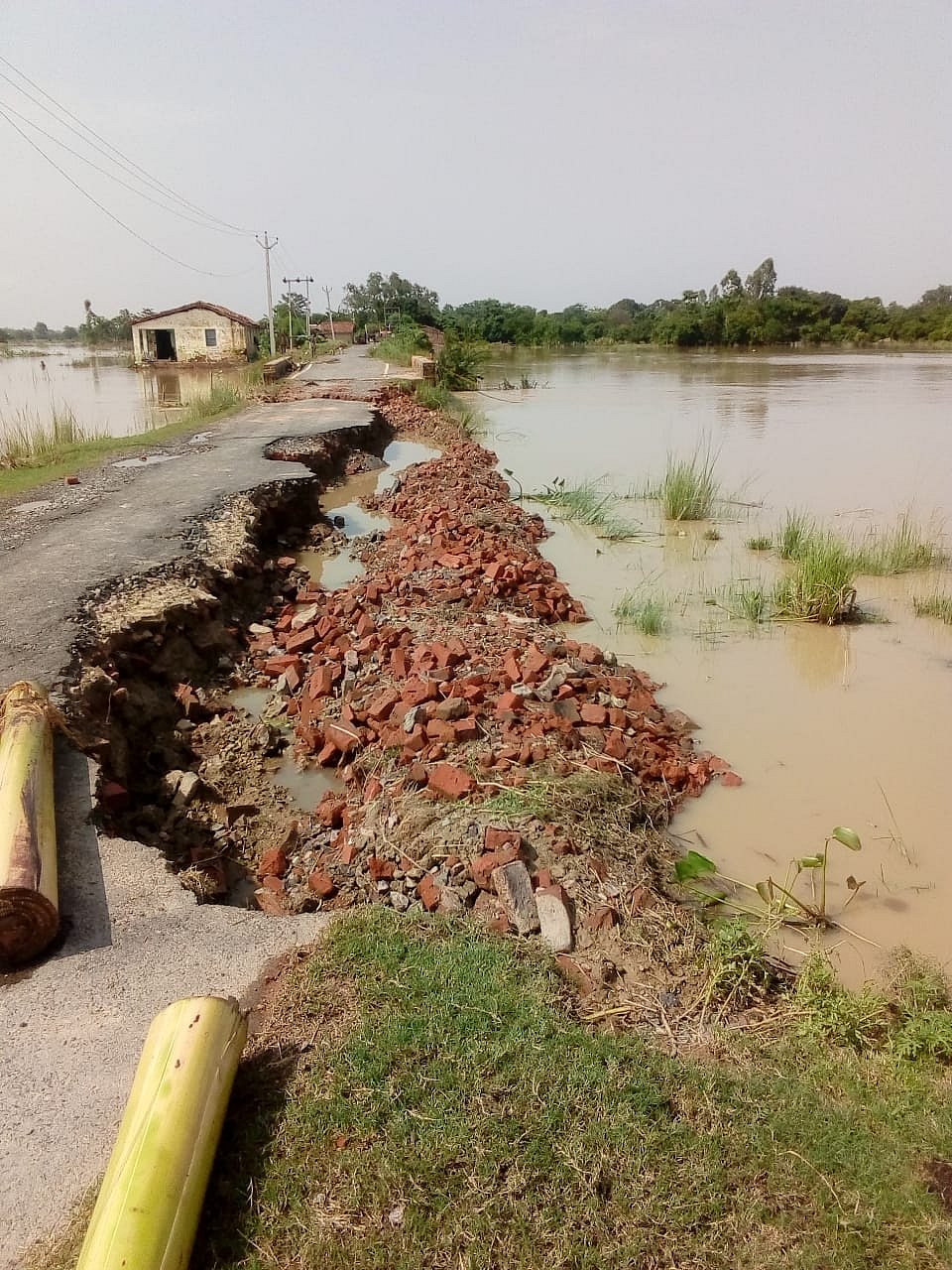 تصویر اے آئی این ایس