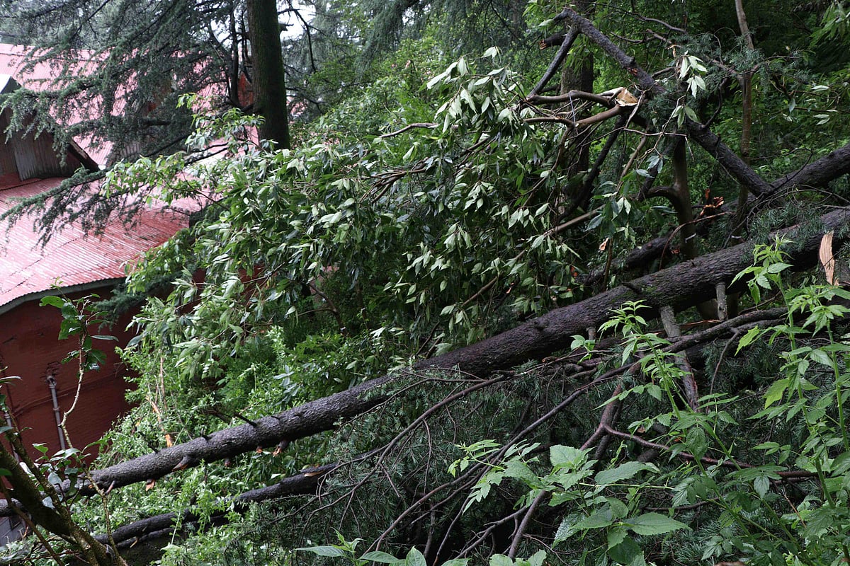 ہماچل پردیش میں زبردست بارش، قومی شاہراہ سمیت 53 سڑکیں بند