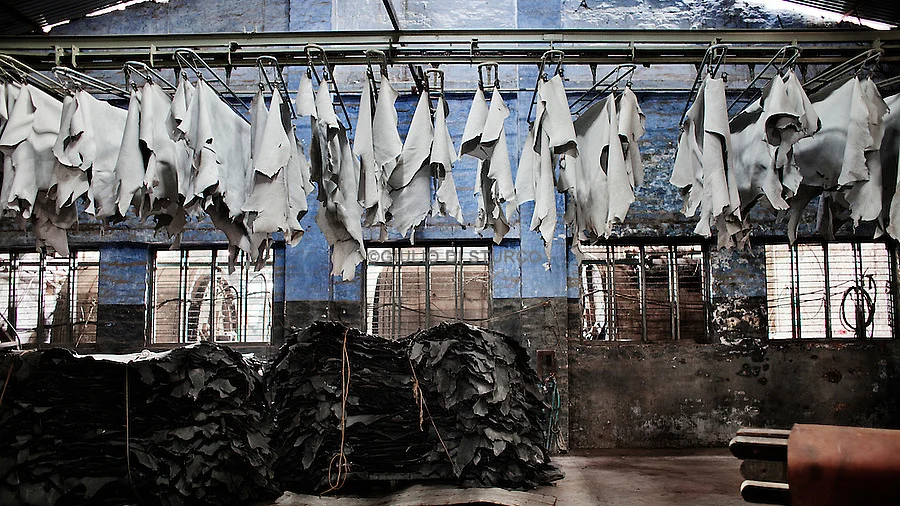 تصویر سوشل میڈیا