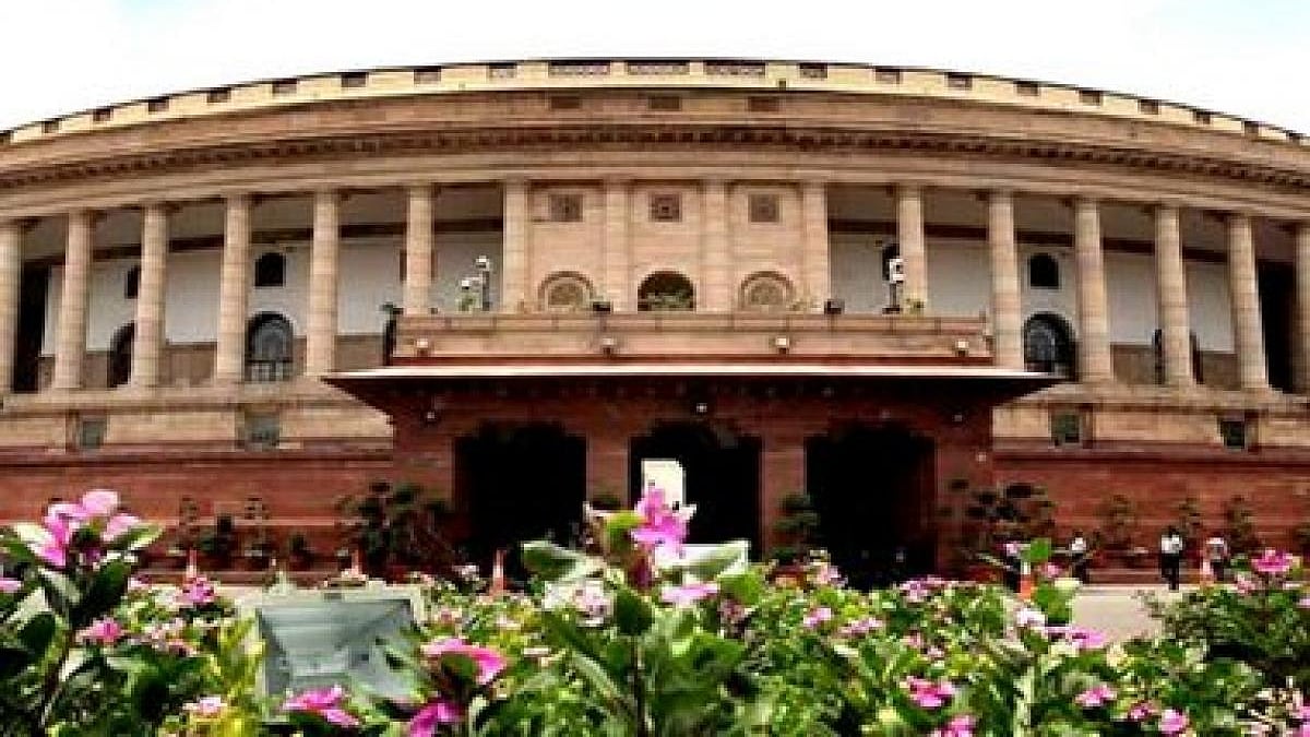 تصویر سوشل میڈیا