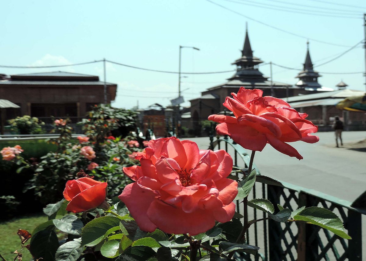 کشمیر: ’یوم شہدا‘ کے موقع پر ہڑتال، امرناتھ یاترا اور ٹرین سروس معطل