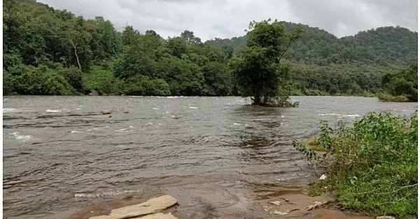 کیرالہ: سیلاب نے لی 23 لوگوں کی جان، اسکول، کالج، ائیر پورٹ بند، حالات سنگین