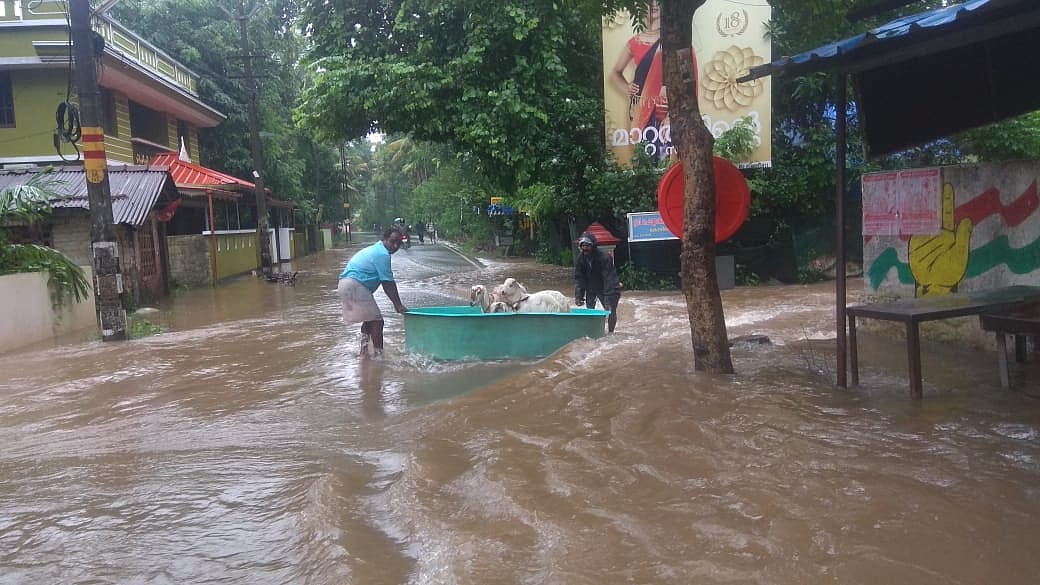 کیرالہ: سیلاب نے لی 23 لوگوں کی جان، اسکول، کالج، ائیر پورٹ بند، حالات سنگین