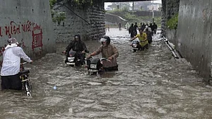 تصویر سوشل میڈیا