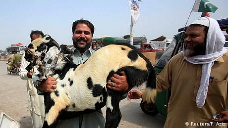 تصویر سوشل میڈیا