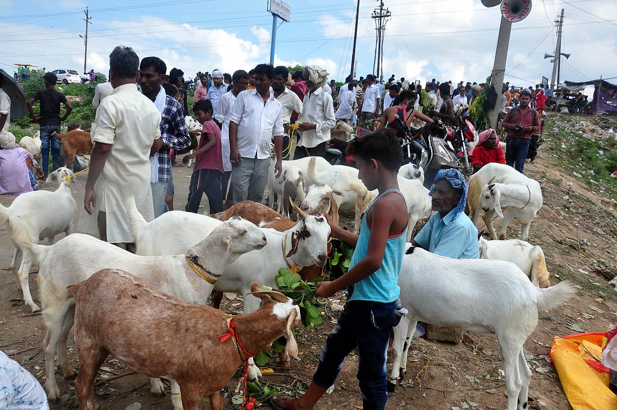 عید الاضحیٰ اور دیگر تہواروں پر محتاط رہیں حکام: یوگی