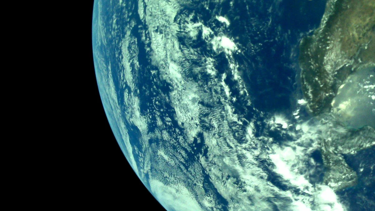 تصویر سوشل میڈیا