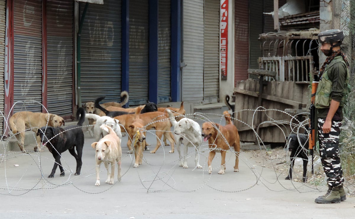 کشمیر میں پھر کرفیو جیسی پابندیاں، تاریخی جامع مسجد آٹھویں جمعہ کو بھی مقفل