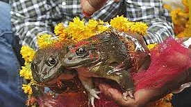 تصویر سوشل میڈیا