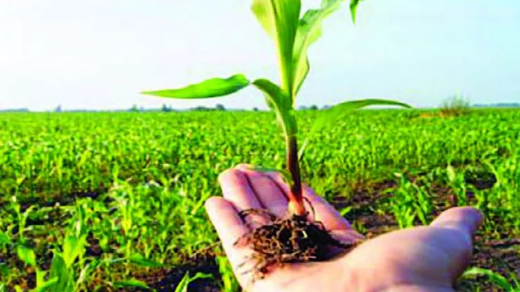 تصویر سوشل میڈیا