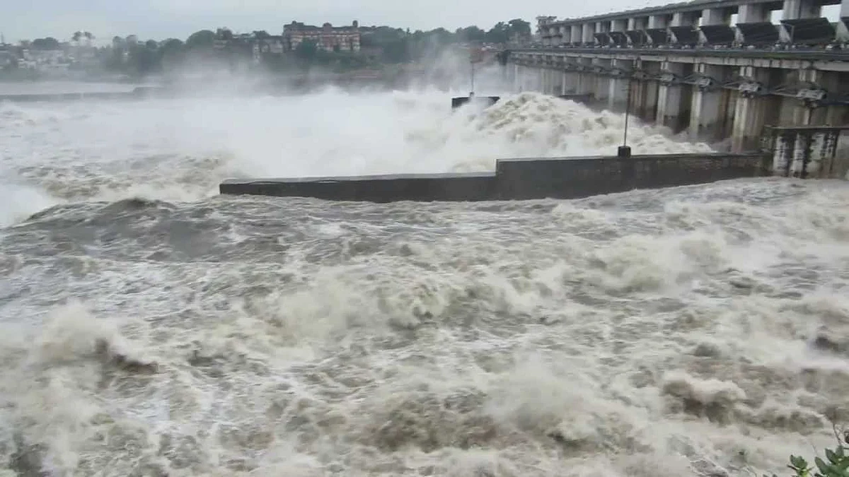 تصویر سوشل میڈیا