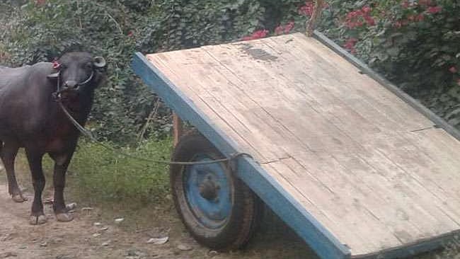 تصویر سوشل میڈیا