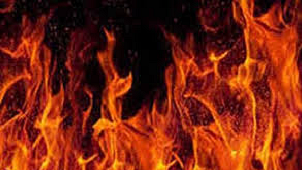 تصویر سوشل میڈیا