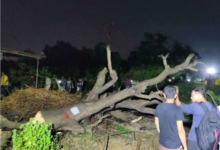 تصویر سوشل میڈیا