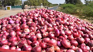 پیاز کے دَام میں اضافہ، گھر چلانے کا بڑھ گیا بجٹ
