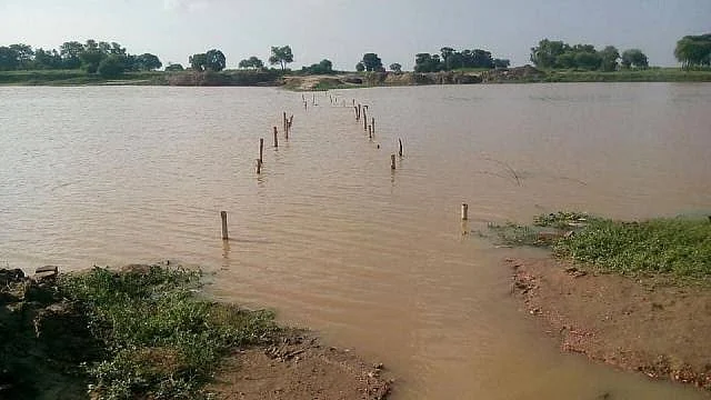 تصویر سوشل میڈیا