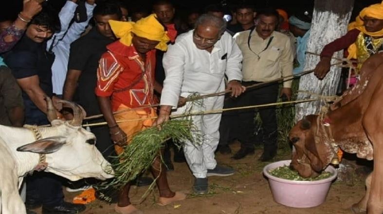 چھتیس گڑھ: ’گائے، گاندھی اور گاؤں‘ کی راہ پر چلی بھوپیش حکومت