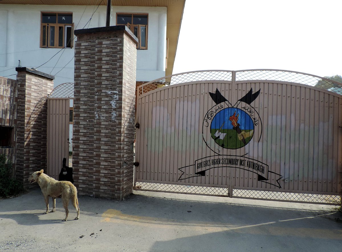 تصویر یو این آئی