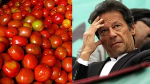 ’غریب پاکستان‘ میں مہنگائی کی زبردست مار، ٹماٹر فروخت ہو رہا 300 روپے کلو!