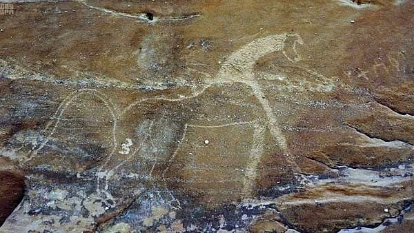 تصویر سوشل میڈیا