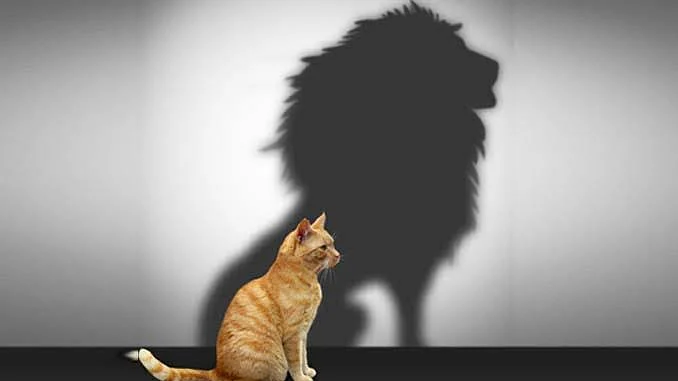 تصویر سوشل میڈیا