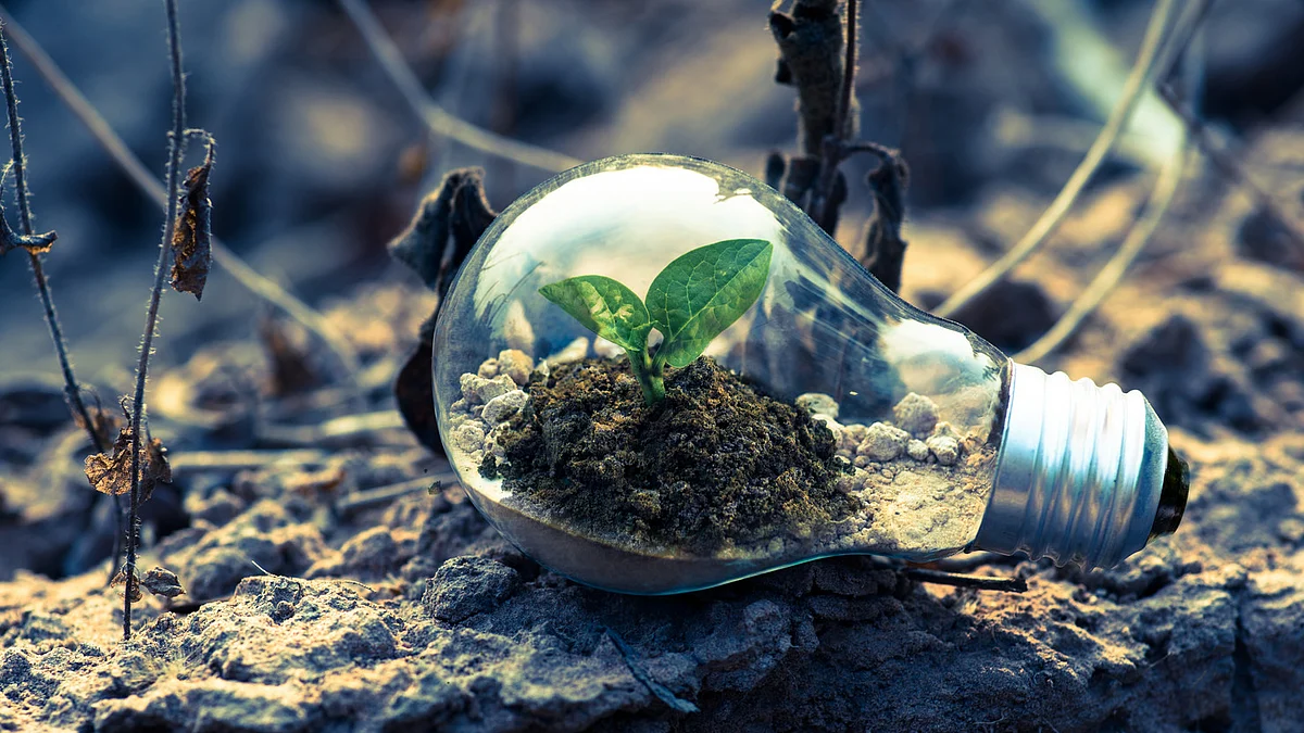 کوڑے کو ٹھکانہ لگانے کا ڈیجیٹل طریقہ